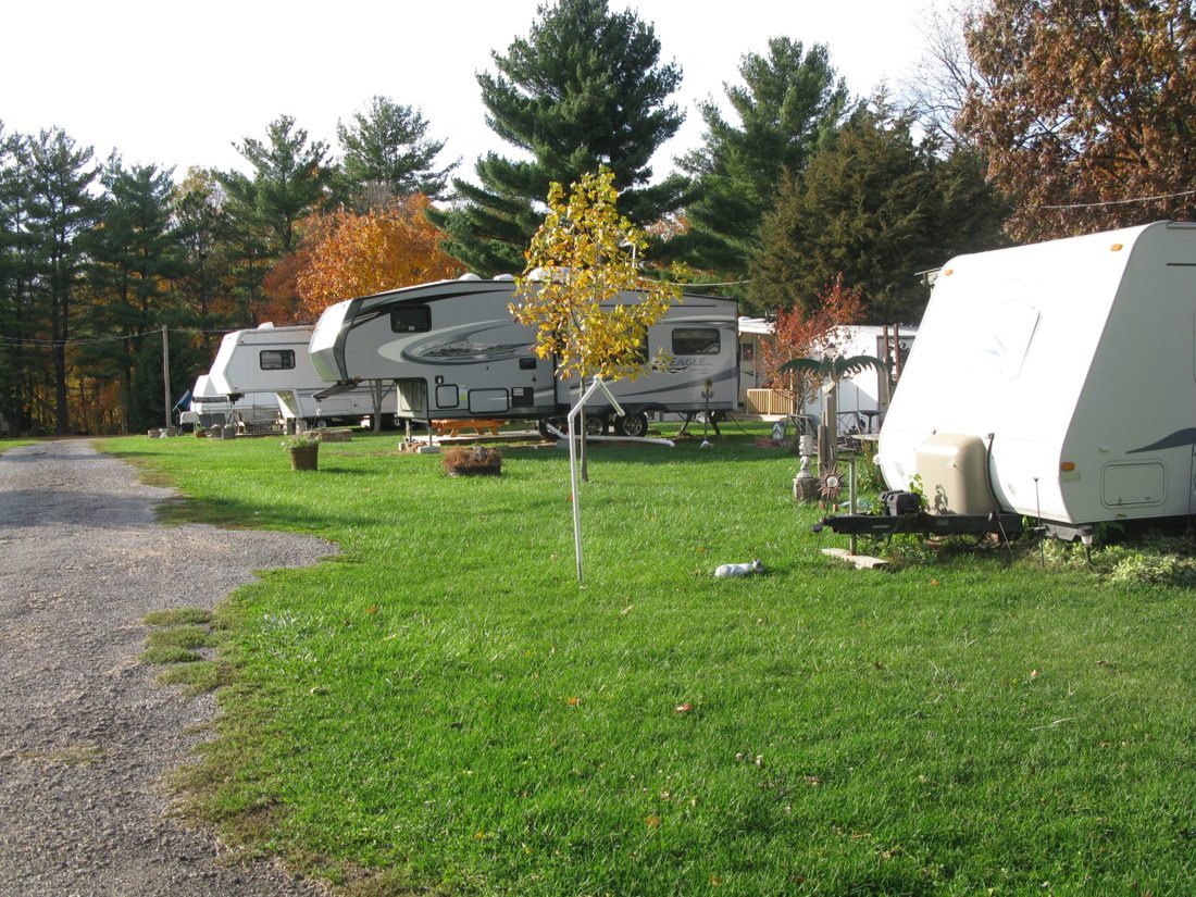 RV sites amid the trees at Condit’s Ranch.