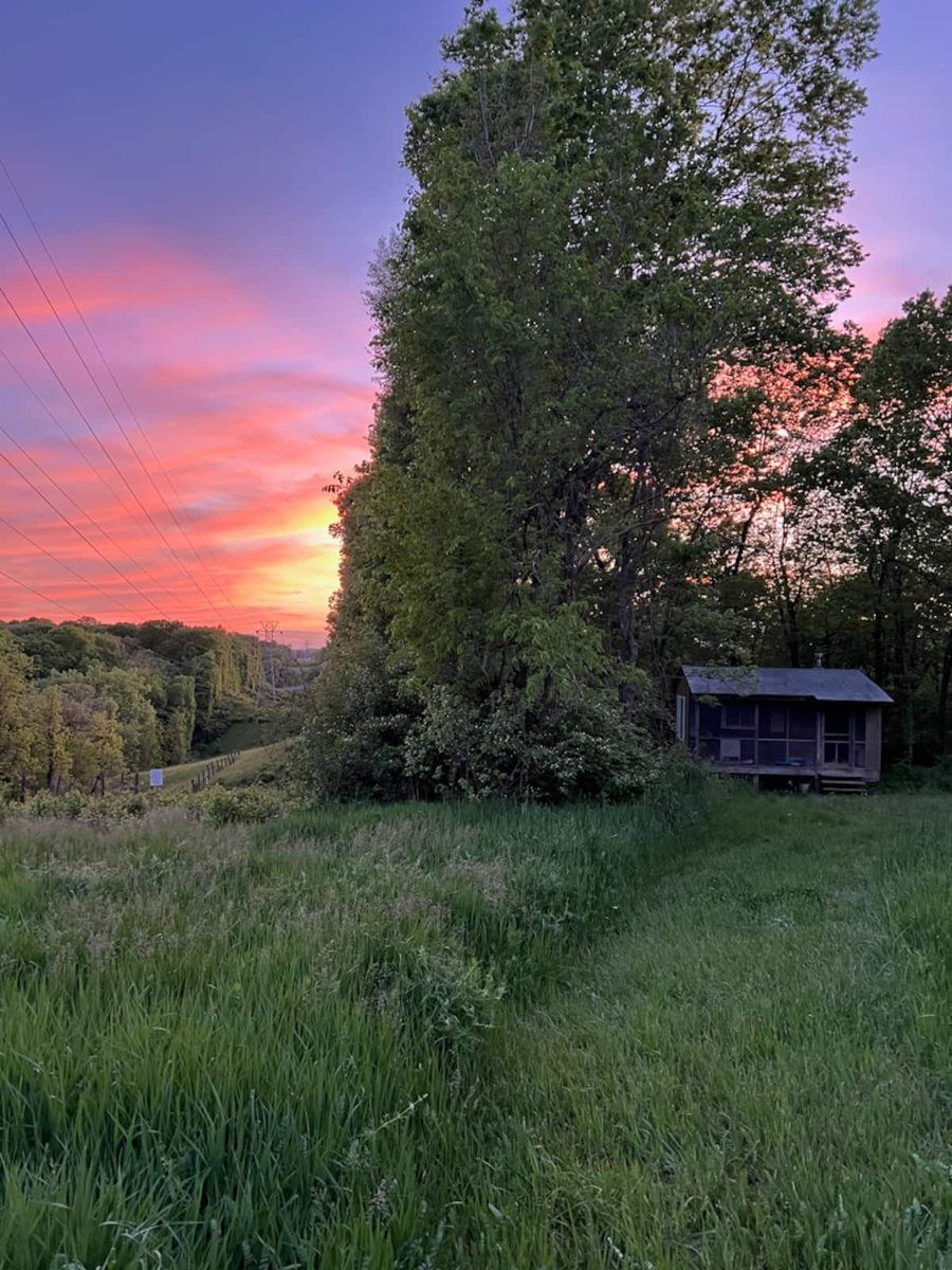Daisy Hill Cabin in a clearing at sunset
