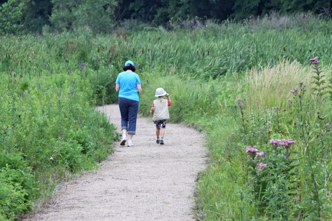 Boardwalk trail at Dixon Waterfowl Refuge