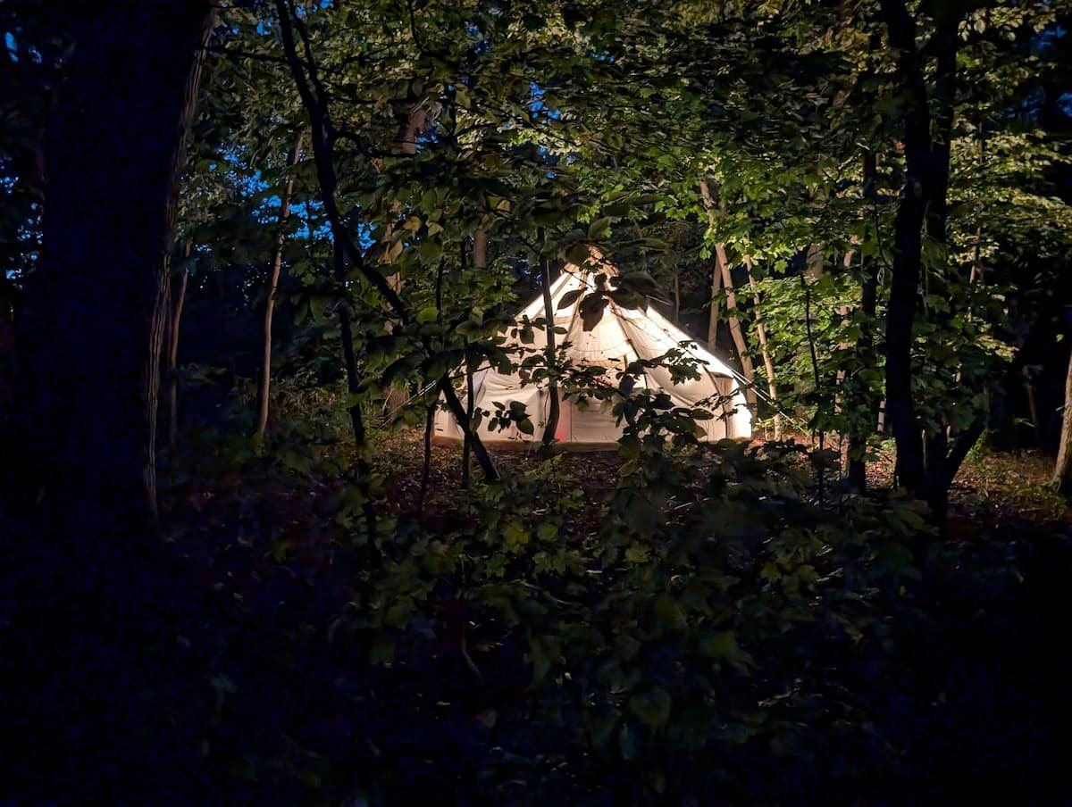 A Forest View tent glowing among the trees at Hungry World Farm
