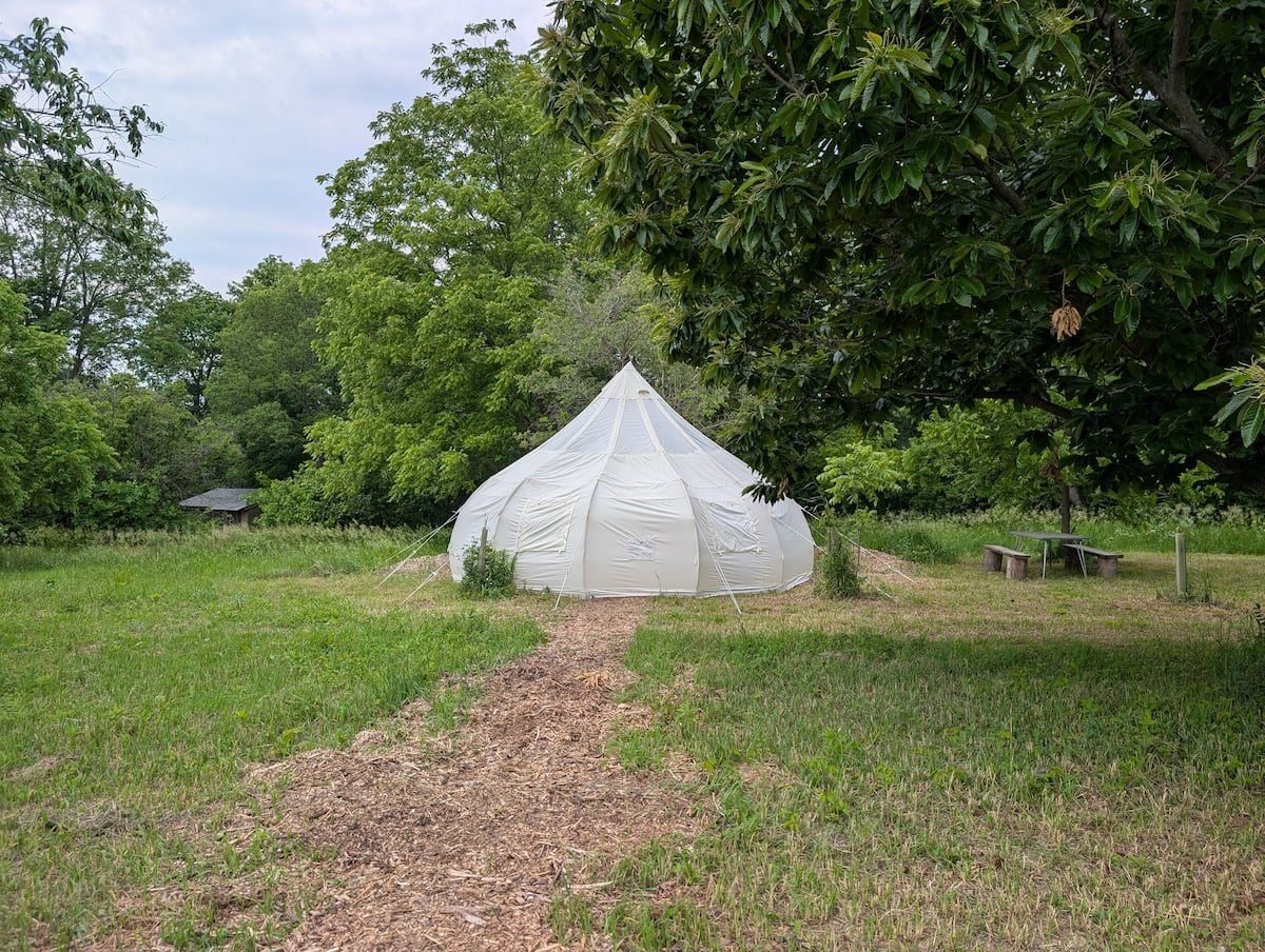Sunrise tent on the farm