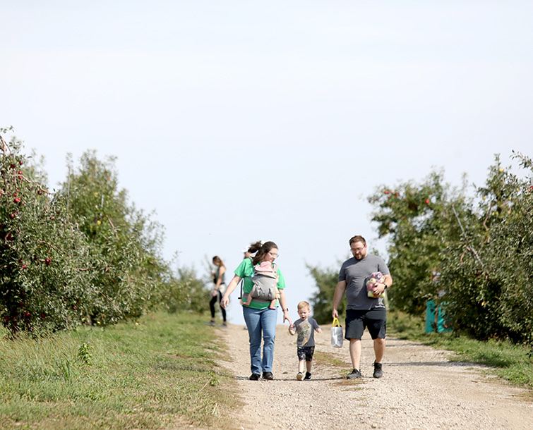 A family among the apple trees at Tanners Orchard